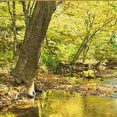 CATOCTIN_CREEK