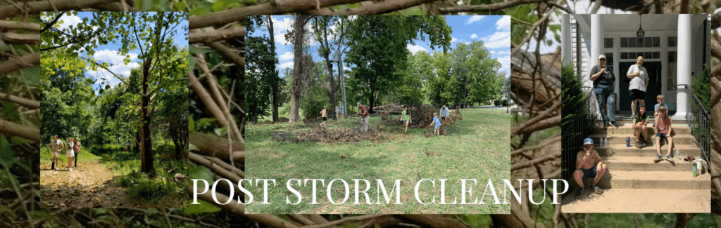Storm cleanup banner